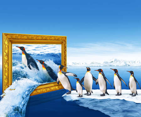 beautiful 3d wallpaper with penguin and frameの写真素材