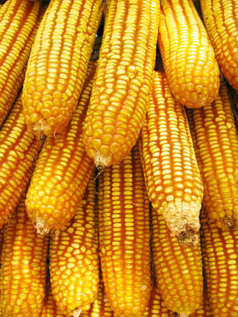 corn