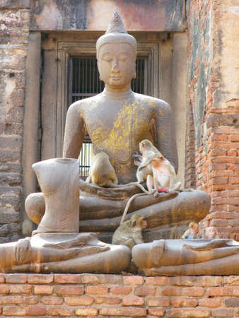 Buddha and Monkey の写真素材