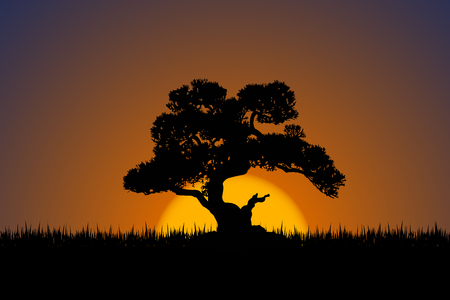 Bonsai Japanese Culture Symbolのイラスト素材