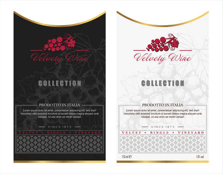 Premium Quality Red and White Wine Labels Set. Clean and Modern Design with Hand Drawn Grapes Bunch, Leaf and Stylish Minimal Typography.のイラスト素材