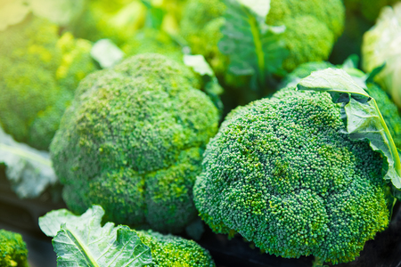 Group of broccoli heads on trays in supermarket, healthcare, diet food, vegetable, vegetarian, vegan concept closeup and selective focusの写真素材