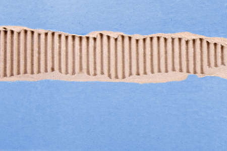 ripped paper の写真素材