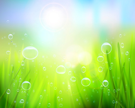 Grass with water drops - Vector illustrationのイラスト素材