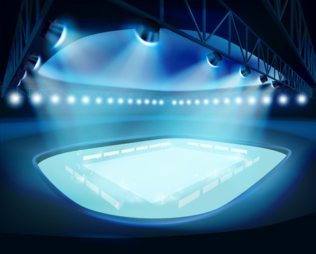 Illuminated Stadium. Vector illustration.のイラスト素材