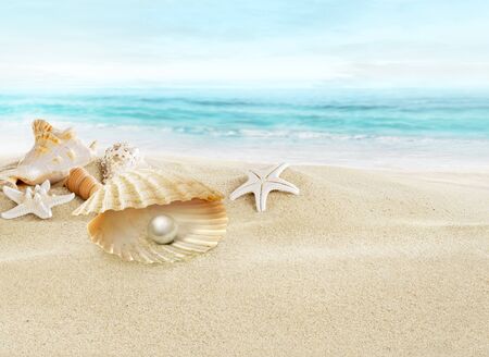 Pearl in open shell.の写真素材