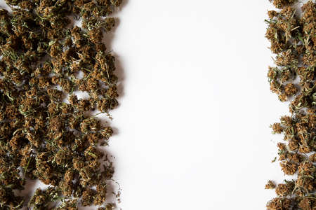 white background with space for copy. on the edges there are abundant dried marijuana buds. medical concept. legalize cannabis for medical treatment. horizontalの写真素材