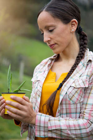 portrait of a woman looking at the aloe vera plant she holds in her hands in a yellow flower pot. Gardeningの写真素材