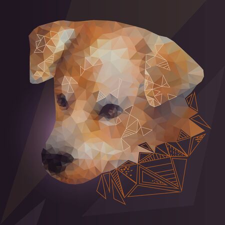Polygonal dog portrait on a dark background, creative print for t-shirts, clothing, bags, greeting cardsのイラスト素材