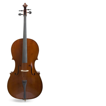 cello - string classical instrument - isolated on whiteの写真素材