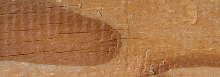 wood textureの写真素材