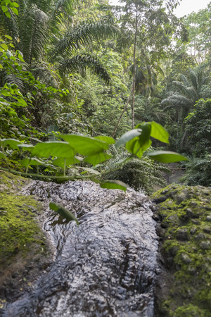 Water falls on the tropical island of sao tomeの写真素材