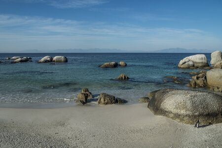 Penguins beach in cape townの写真素材