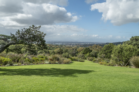 Cape town botanic gardenの写真素材