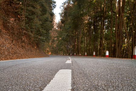 Road crossing the African forest of Sao Tomeの写真素材