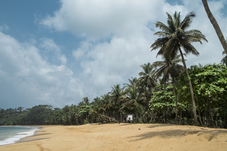 Tropical island of são tome africaの写真素材