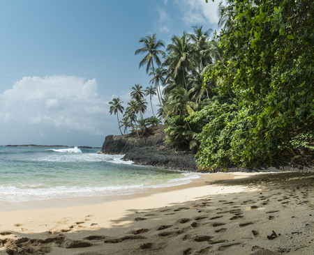 Tropical island of  tome africaの写真素材