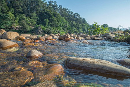 River current with stones in portugalの写真素材
