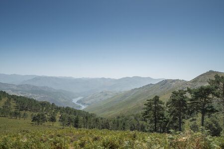 Path of the river that crosses the mountains and forestの写真素材