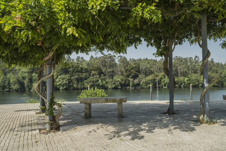 Cement bench underneath tree with river viewの写真素材