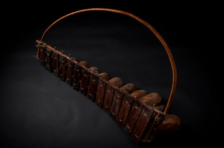 African music instrument, wooden marimba with two bakets, isolated on dark background