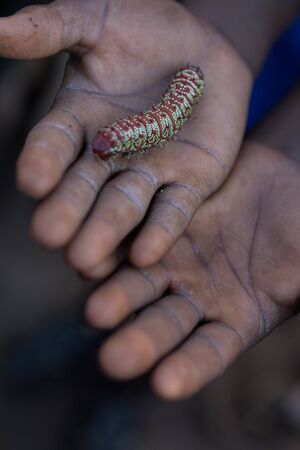 African child's hands holding a worm.の写真素材