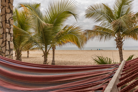 Beach bed with sea viewの写真素材