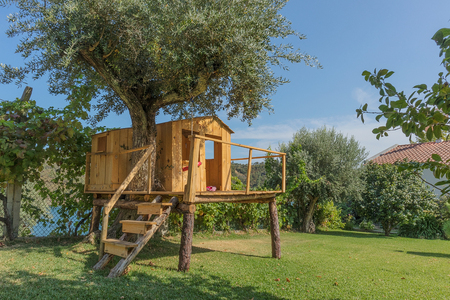 Wooden house in tree. Tree house.の写真素材
