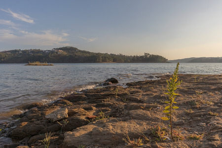 Sunset on the lake. With plants and algae being born in the water. Portugal.の写真素材