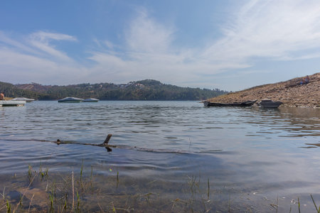 Lake with wood trunk floating.の写真素材
