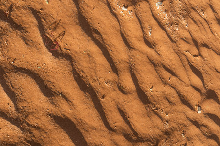 Close up of dune texture in Namibia desert.