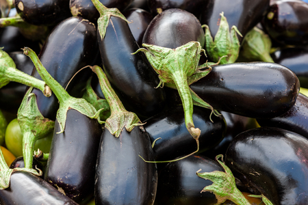 Close up of aubergines, full frame.の写真素材