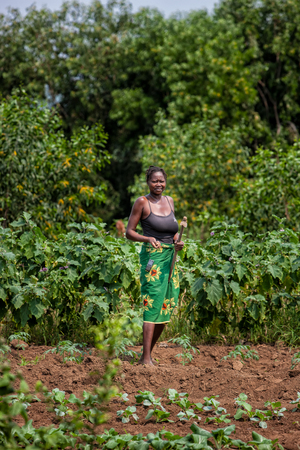 CABINDA/ANGOLA - 09 JUN 2010 - Rural female farmer working in the field.のeditorial素材