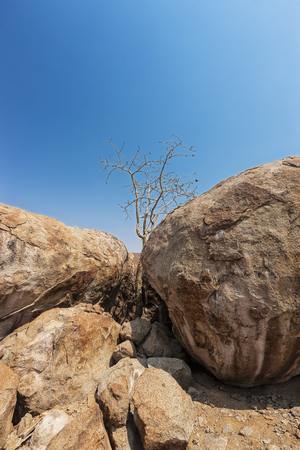 Millennial giant stones in the Iona natural park. Angola. Cunene.の写真素材