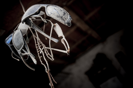 Set of sunglasses old and dusty by a rope, viewed from below.の写真素材