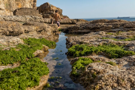 Rocks by the sea, with green algae and marine life. Estoril beach. Portugal