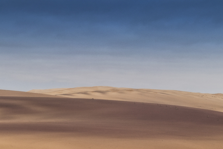 Group of springbocks running on the dunes of the Namibe Desert. Africa. Angola.の写真素材