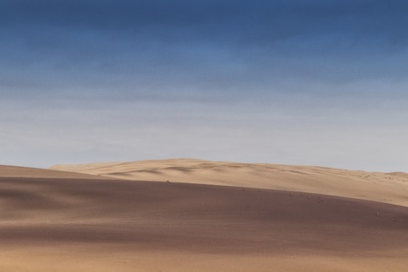 Group of springbocks running on the dunes of the Namibe Desert. Africa. Angola.の写真素材