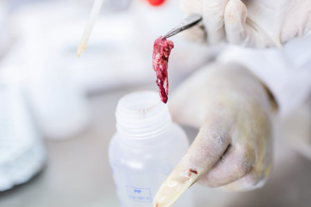 Fish interior to be tested in laboratory, quality test.