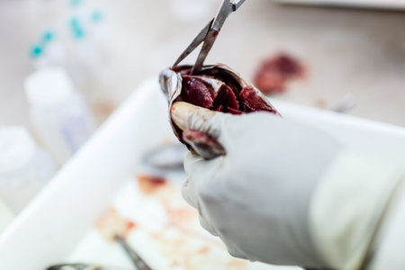 Fish to be tested in the laboratory, scissors.