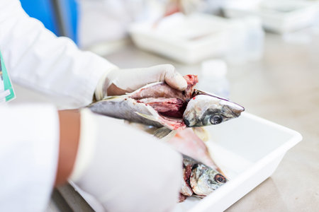 Fish to be tested in the laboratory, scissors.