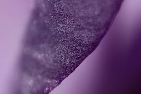 Ultra macro photograph of plant leaf with exotic colors.の写真素材