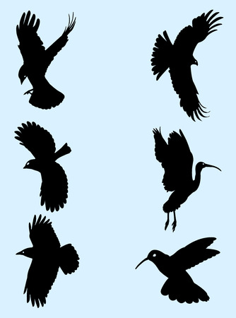 Birds silhouetteのイラスト素材