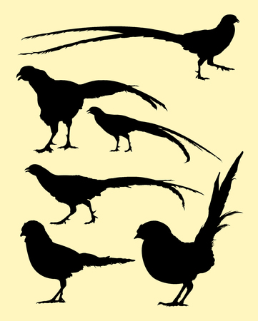 Set of  pheasant bird icon in silhouette illustration.のイラスト素材