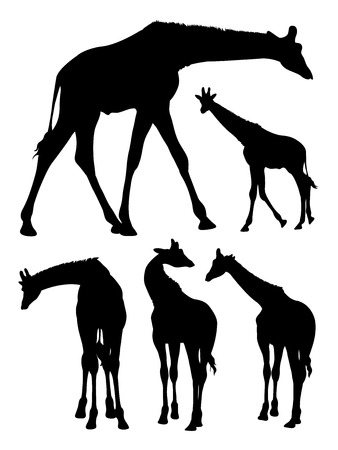 Silhouette of giraffe. Good use for symbol, logo, web icon, mascot, sign, or any design you want.のイラスト素材