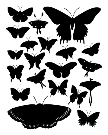 Silhouette of butterflies. Good use for symbol, logo, web icon, mascot, sign, or any design you want.のイラスト素材