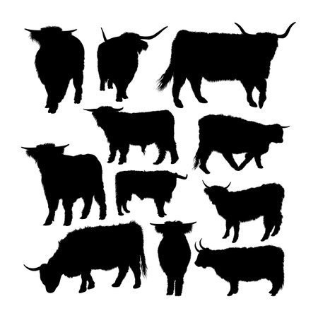 Highland cow animal silhouettes. Good use for symbol,  web icon, mascot, sign, or any design you want.のイラスト素材