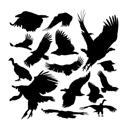 Big griffon vulture animal silhouettes. Good use for symbol, web icon, mascot, sign, or any design you want.のイラスト素材