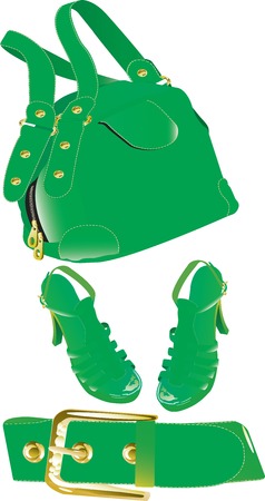 Green handbag ,belt and shoes handbag isolated on a white backgroundのイラスト素材