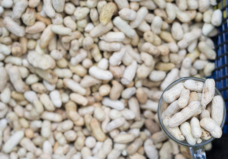 Piles of steamed peanutsの写真素材